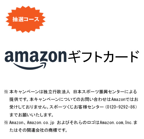 Amazonギフトカード 3,000円分