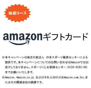 Amazonギフトカード 3,000円分