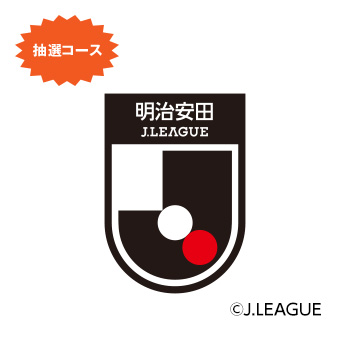 明治安田 J.LEAGUE ©J.LEAGUE