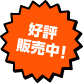 好評販売中