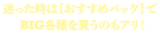 迷ったときは[おすすめパック]でBIG各種を買うのもアリ!