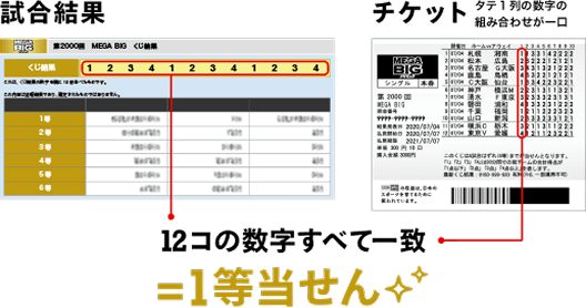 12コの数字すべて一致=1等当せん