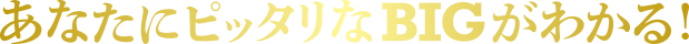 あなたにぴったりなBIGがわかる!