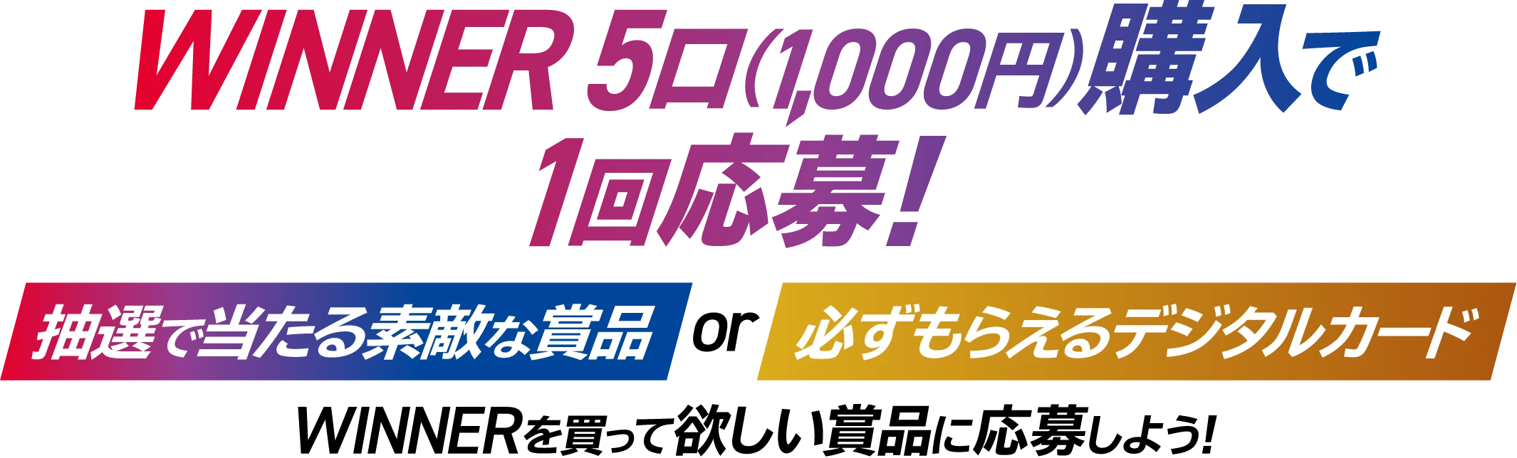 WINNER 5口(1,000円)購入で1回応募! 抽選で当たる素敵な賞品 or 必ずもらえるデジタルカード WINNERを買って欲しい賞品に応募しよう！