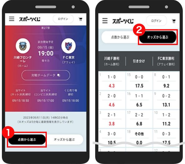 STEP5 点数またはオッズ（払戻倍率）から選択